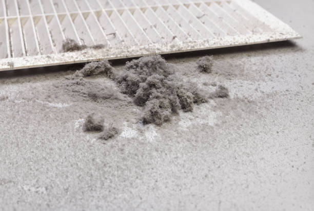 Best HVAC System Cleaning  in Mckees Rocks, PA