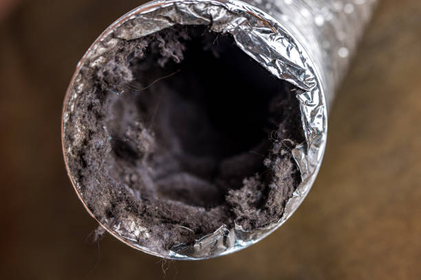 Best Air Duct Cleaning Near Me in Mckees Rocks, PA
