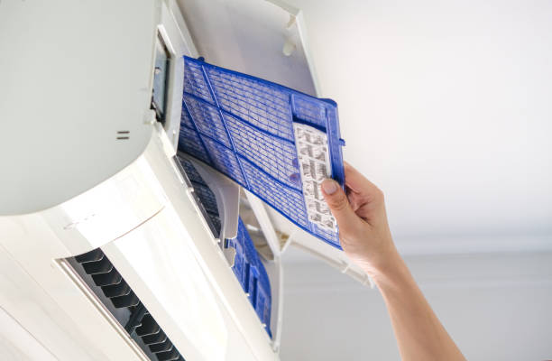Air Duct Mold Removal in Mckees Rocks, PA