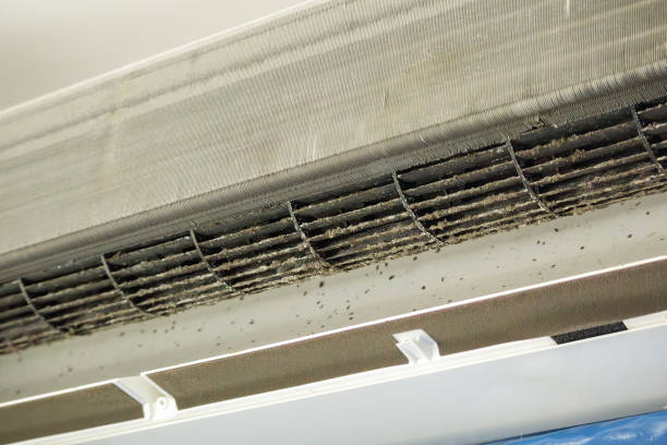 Best Air Duct Cleaning Near Me  in Mckees Rocks, PA